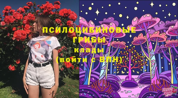 стафф Алзамай