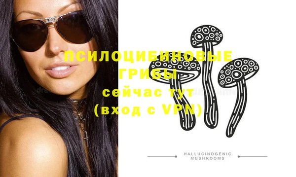 стафф Алзамай